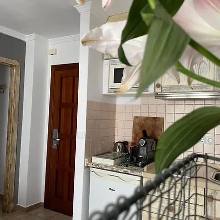 Charming Studio In Apartment *